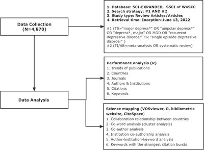 Systematic reviews and meta-analyses on major depressive disorder: a bibliometric perspective